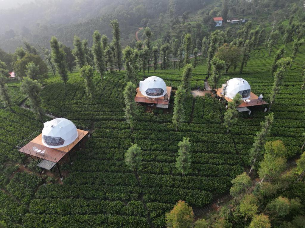 Vythiri Tea Valley I Best Hotel In Wayanad L Hotels In Vythiri Wayanad Exterior foto