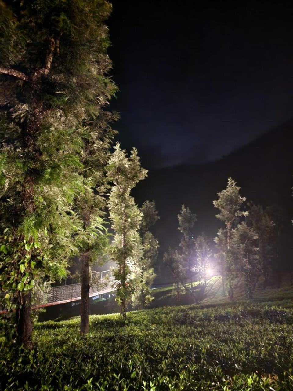Vythiri Tea Valley I Best Hotel In Wayanad L Hotels In Vythiri Wayanad Exterior foto
